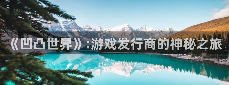 亿万28官网平台代理条件：《凹凸世界》:游戏发行商的神秘之旅