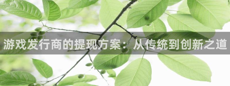 亿万28子财经丛书：游戏发行商的提现方案：从传统到创新之道
