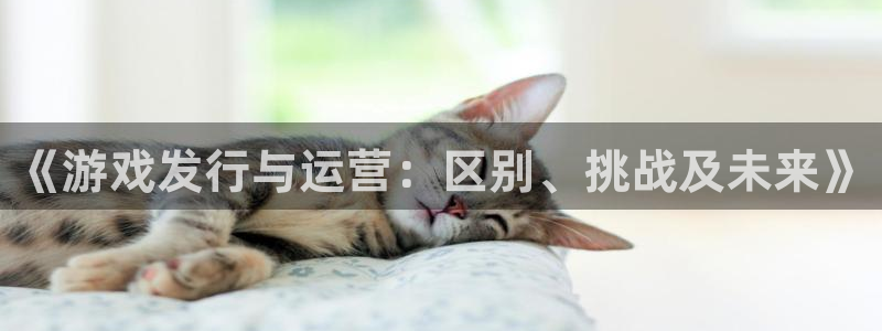 亿万28官网登录注册不了怎么回事：《游戏发行与运营：区别、挑战及未来》