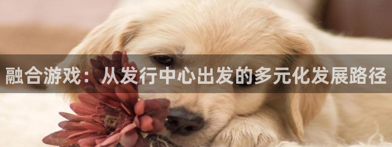 亿万28子的所有小说：融合游戏：从发行中心出发的多元化发展路径
