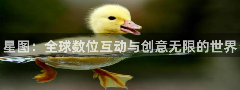 亿万28集团：星图：全球数位互动与创意无限的世界