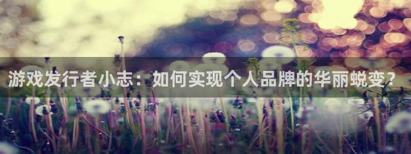 陕西亿万28子文化创意有限公司有什么游戏：游戏发行者小志：如何实现个人品牌的华丽蜕变？