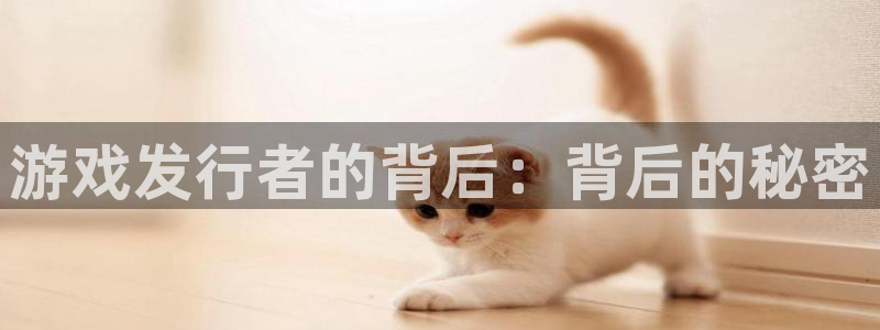 亿万28官网注册平台登录入口：游戏发行者的背后：背后的秘密