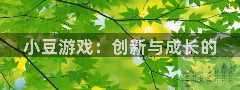 亿万28品牌顾问有限公司：小豆游戏：创新与成长的