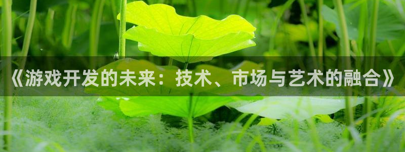 亿万28子图书：《游戏开发的未来：技术、市场与艺术的融合》