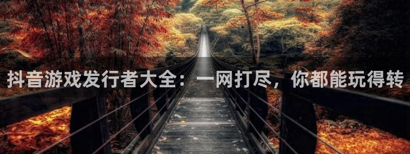 亿万28官网主管联3.7.9.9.7 主管：抖音游戏发行者大全：一网打尽，你都能玩得转