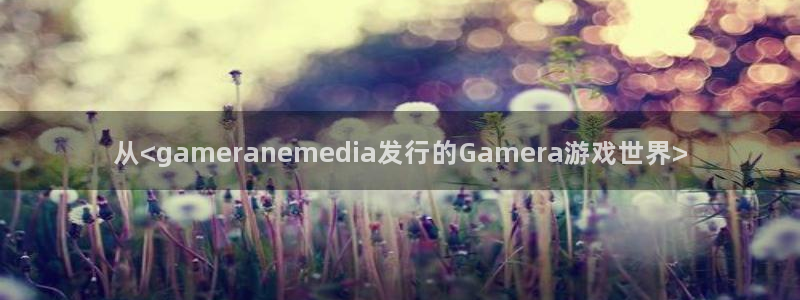 亿万28子经理人杂志：从<gameranemedia发行的Gamera游戏世界>