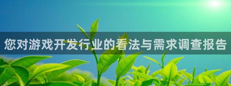 亿万28子传媒集团ceo：您对游戏开发行业的看法与需求调查报告