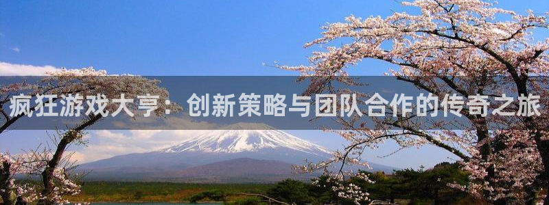 亿万28官网开户待遇：疯狂游戏大亨：创新策略与团队合作的传奇之旅