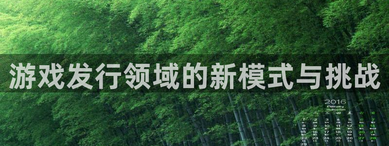 亿万28官网注册平台是什么：游戏发行领域的新模式与挑战