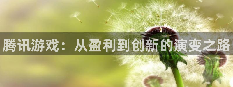 亿万28子寓意