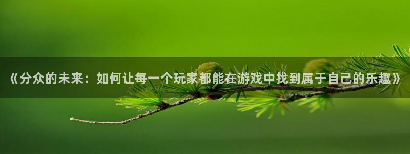 亿万28啤酒怎么样：《分众的未来：如何让每一个玩家都能在游戏中找到属于自己的乐趣》