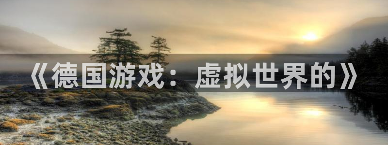 亿万28集团是什么企业：《德国游戏：虚拟世界的》