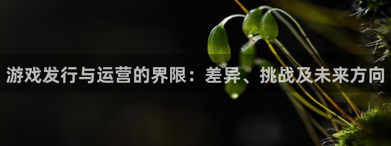 四川亿万28科技有限公司招聘：游戏发行与运营的界限：差异、挑战及未来方向