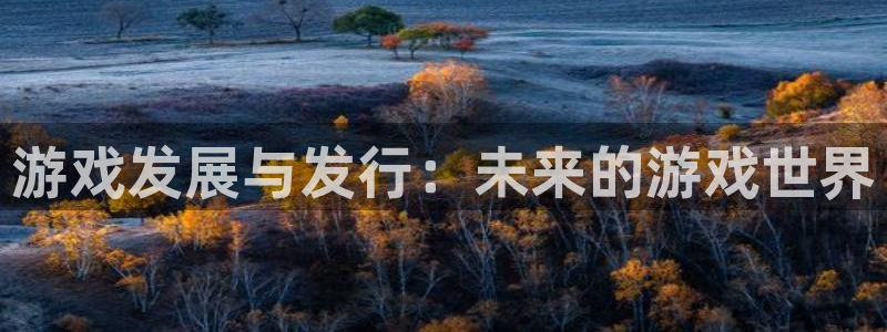 亿万28官网解绑银行卡怎么弄：游戏发展与发行：未来的游戏世界