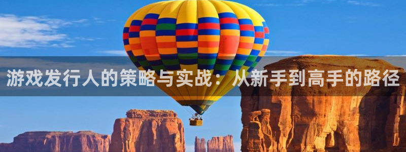 亿万28子签约作家：游戏发行人的策略与实战：从新手到高手的路径