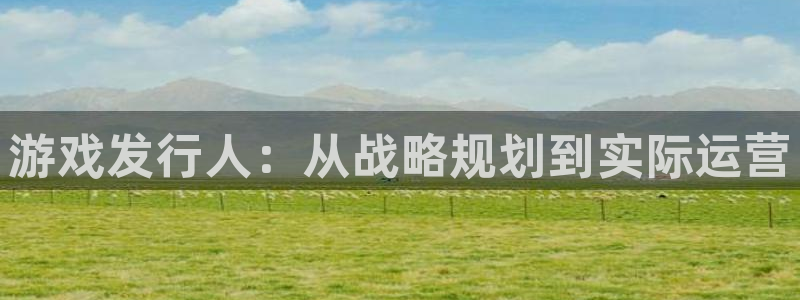 亿万28子怎么样：游戏发行人：从战略规划到实际运营