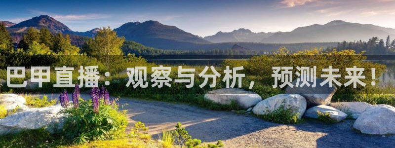 熊猫体育直播欢度2026进.来就送.org：巴甲直播：观察与分析，预测未来！
