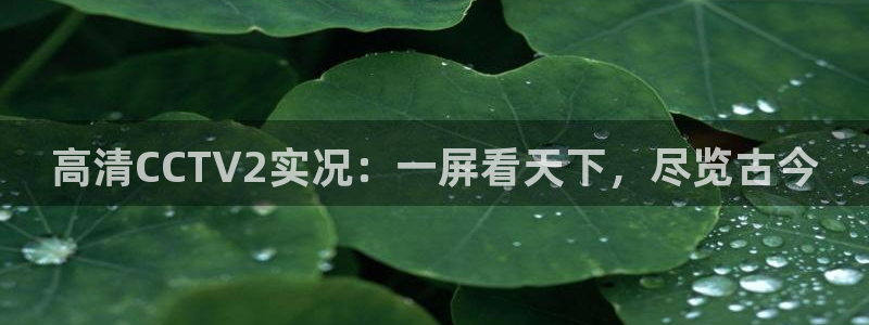 熊猫体育直播欢度2026进.来就送.org：高清CCTV2实况：一屏看天下，尽览古今