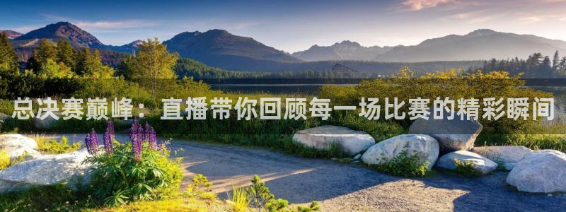 熊猫体育公园