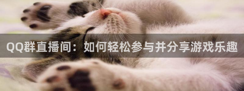 熊猫直播下载安装官方下载